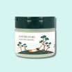 ROUND LAB Čistiace tampóny Pine Calming Cica Pad